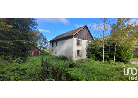 Dom na sprzedaż - Plainfaing, Francja, 130 m², 58 033 USD (237 355 PLN), NET-101161691