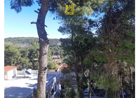 Mieszkanie na sprzedaż - Agios Stefanos, Grecja, 117 m², 225 574 USD (920 342 PLN), NET-95587872