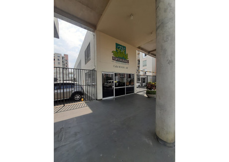 Mieszkanie do wynajęcia - Cl. 48 #101-40, Cali, Valle del Cauca, Colombia Cali, Kolumbia, 51 m², 266 USD (1031 PLN), NET-96840811