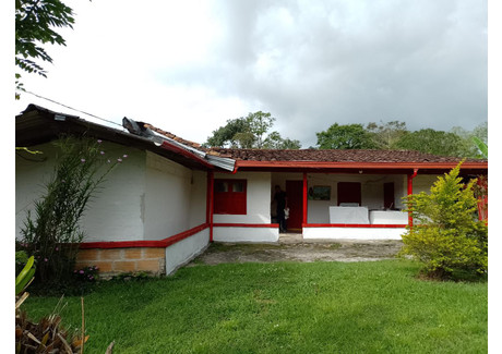 Dom na sprzedaż - Venecia, Antioquia, Colombia Venecia, Kolumbia, 760 m², 82 697 USD (339 059 PLN), NET-99623611