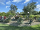 Dom na sprzedaż - 45348 Driftwood Drive Palm Desert, Usa, 135,36 m², 397 000 USD (1 615 790 PLN), NET-101817224