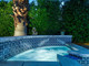 Dom na sprzedaż - 567 N Lujo Circle Palm Springs, Usa, 188,13 m², 1 075 000 USD (4 117 250 PLN), NET-99604791