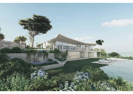 Dom na sprzedaż - Cannes, Francja, 1150 m², 10 671 093 USD (43 644 771 PLN), NET-96914172