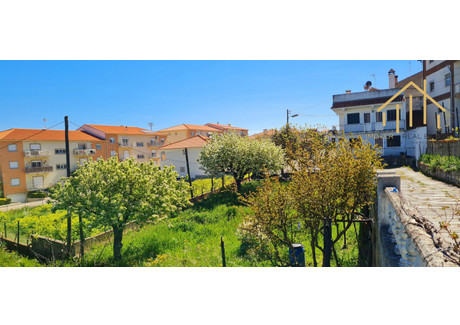 Dom na sprzedaż - Vila Nova De Foz Côa, Portugalia, 250 m², 407 303 USD (1 665 870 PLN), NET-94774598