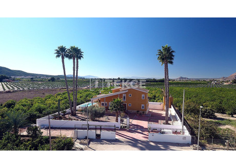 Dom na sprzedaż - Orihuela, Orihuela Centro Alicante, Hiszpania, 400 m², 743 600 USD (2 847 988 PLN), NET-95760685