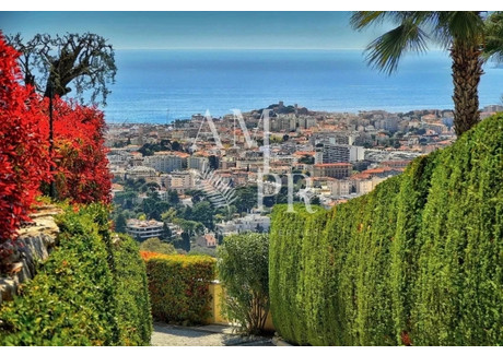 Dom na sprzedaż - Cannes, Francja, 300 m², 4 414 320 USD (16 950 990 PLN), NET-100755884