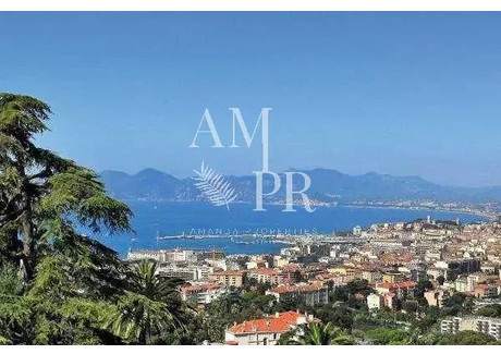 Dom na sprzedaż - Cannes, Francja, 250 m², 3 296 217 USD (13 679 299 PLN), NET-103293816