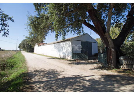 Dom na sprzedaż - Viana Do Alentejo, Portugalia, 118 m², 193 597 USD (791 810 PLN), NET-102273698