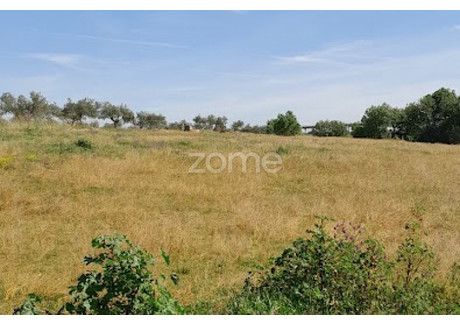 Działka na sprzedaż - Campo Maior, Portugalia, 10 000 m², 24 906 USD (101 865 PLN), NET-96539473