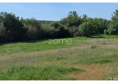 Działka na sprzedaż - Campo Maior, Portugalia, 10 000 m², 24 727 USD (101 381 PLN), NET-96539473