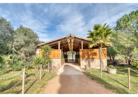 Komercyjne na sprzedaż - Roquebrune-Sur-Argens, Francja, 550 m², 3 205 753 USD (13 111 532 PLN), NET-95877063