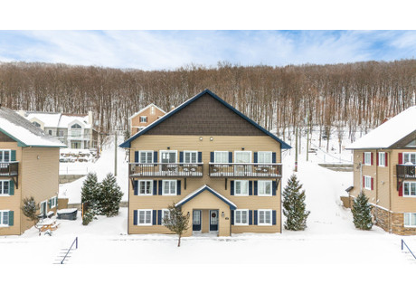 Mieszkanie na sprzedaż - 477 Ch. Boulanger Sutton, Kanada, 74 m², 317 159 USD (1 249 608 PLN), NET-96465717