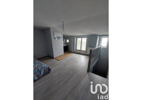 Mieszkanie na sprzedaż - Vienne, Francja, 30 m², 76 882 USD (315 218 PLN), NET-100493882