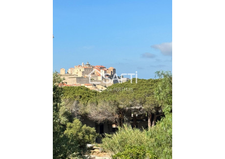 Dom na sprzedaż - Calvi, Francja, 270 m², 3 696 657 USD (15 119 326 PLN), NET-98096640