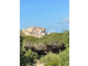 Dom na sprzedaż - Calvi, Francja, 270 m², 3 696 657 USD (15 119 326 PLN), NET-98096640