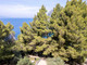 Dom na sprzedaż - Via del Campone, Porto Santo Stefano, Włochy, 169 m², 729 881 USD (2 985 212 PLN), NET-102246446