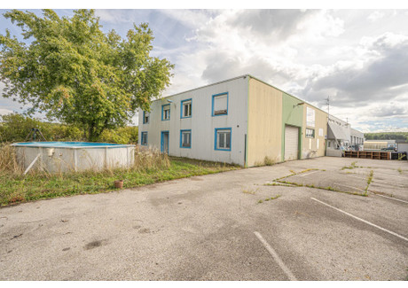 Komercyjne na sprzedaż - Ornex, Francja, 350 m², 719 908 USD (2 944 424 PLN), NET-98976886