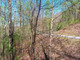 Działka na sprzedaż - Lot 43 Dusty Danno Trail Mineral Bluff, Usa, 6839,19 m², 51 000 USD (207 570 PLN), NET-98074586