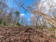 Działka na sprzedaż - Lot 43 Dusty Danno Trail Mineral Bluff, Usa, 6839,19 m², 51 000 USD (207 570 PLN), NET-98074586