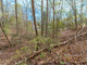 Działka na sprzedaż - Lot 22 Meadow Brook Trail Morganton, Usa, 7850,9 m², 179 000 USD (728 530 PLN), NET-98768857