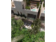 Dom na sprzedaż - Quintana Roo, Tulum, Tulum Centro Tulum Centro, Meksyk, 125 m², 268 212 USD (1 096 987 PLN), NET-102064535