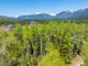 Działka na sprzedaż - NNA Timber Ridge Trail Clark Fork, Usa, 80 936 m², 279 000 USD (1 143 900 PLN), NET-100153121