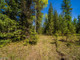 Działka na sprzedaż - NNA Timber Ridge Trail Clark Fork, Usa, 80 936 m², 279 000 USD (1 143 900 PLN), NET-100153121