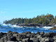 Dom na sprzedaż - 596 Marine Dr Ucluelet, Kanada, 43 m², 224 957 USD (915 573 PLN), NET-100153347