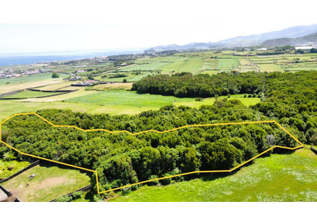 Działka na sprzedaż - Ilha De São Miguel, Pico Da Pedra, Portugalia, 8560 m², 76 053 USD (298 129 PLN), NET-98812041