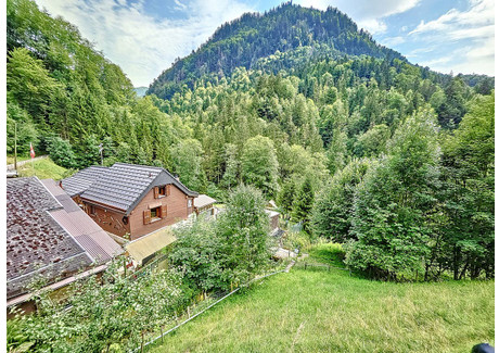 Dom na sprzedaż - Charmey (Gruyère), Szwajcaria, 110 m², 1 063 019 USD (4 081 994 PLN), NET-99505333