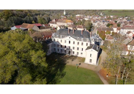 Obiekt zabytkowy na sprzedaż - L'isle-Sur-Serein, Francja, 2000 m², 1 071 550 USD (4 318 344 PLN), NET-98738400