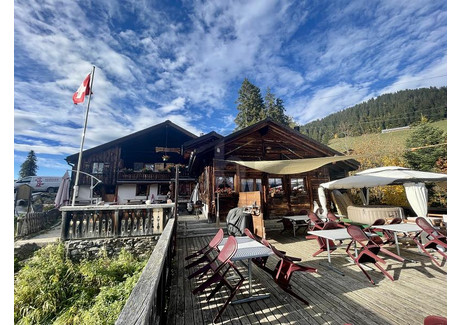 Lokal gastronomiczny na sprzedaż - Leysin, Szwajcaria, 986 m², 875 367 USD (3 632 772 PLN), NET-103125992