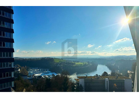 Mieszkanie do wynajęcia - Neuhausen Am Rheinfall, Szwajcaria, 137 m², 3454 USD (14 336 PLN), NET-103152529