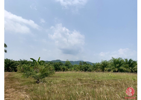 Działka na sprzedaż - Phang Nga, Tajlandia, 96 000 m², 10 431 003 USD (43 288 664 PLN), NET-102884782