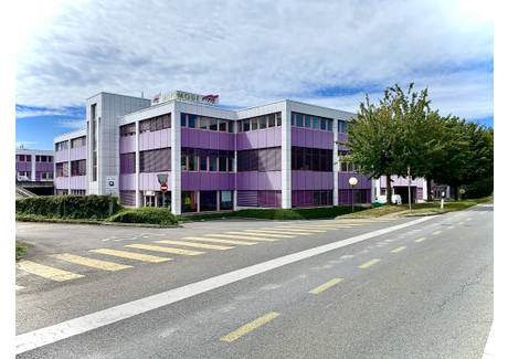 Komercyjne do wynajęcia - Lonay Szwajcaria, 1485 m², 29 392 USD (120 215 PLN), NET-100749039