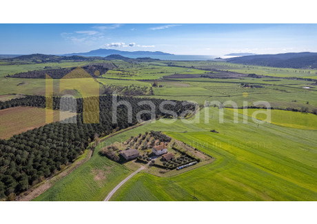 Dom na sprzedaż - Collecchio Magliano In Toscana, Włochy, 320 m², 1 571 994 USD (6 398 016 PLN), NET-101374165