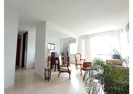 Mieszkanie na sprzedaż - Cl. 42 #96-25, Comuna 17, Cali, Valle del Cauca, Colombia Cali, Kolumbia, 55 m², 41 141 USD (168 676 PLN), NET-101526771