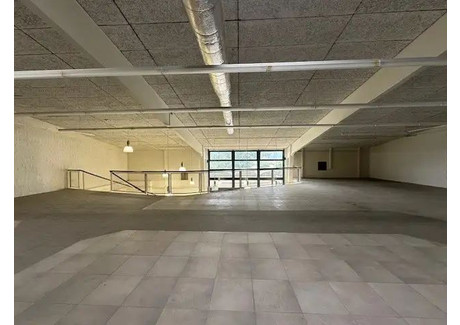 Lokal handlowy do wynajęcia - Rütiweg Pratteln, Szwajcaria, 500 m², 7693 USD (31 466 PLN), NET-101184358