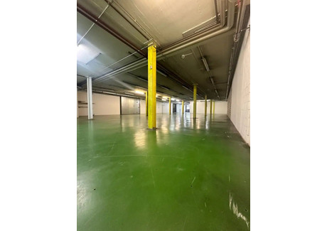 Lokal handlowy do wynajęcia - Rütiweg Pratteln, Szwajcaria, 853 m², 13 524 USD (55 449 PLN), NET-101184546