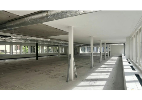 Biuro do wynajęcia - Bellerivestrasse Zurich, Szwajcaria, 587 m², 27 371 USD (112 220 PLN), NET-101184694