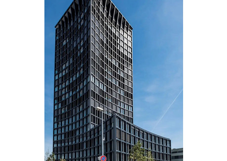 Biuro do wynajęcia - Hohenrainstrasse Pratteln, Szwajcaria, 366 m², 3375 USD (13 737 PLN), NET-101184835