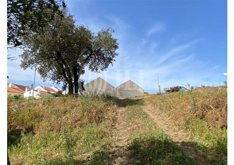 Działka na sprzedaż - São Francisco Da Serra, Portugalia, 33 875 m², 319 038 USD (1 304 864 PLN), NET-87913686