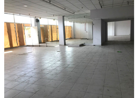 Komercyjne na sprzedaż - Elche / Elx, Hiszpania, 740 m², 569 042 USD (2 327 381 PLN), NET-89539136