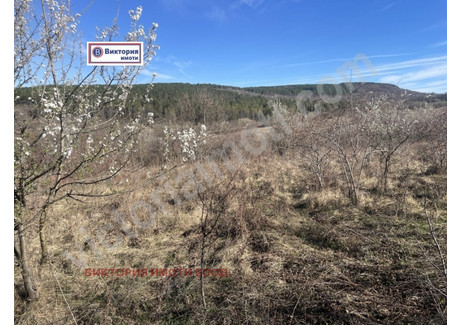 Działka na sprzedaż - с. Малки чифлик/s. Malki chiflik Велико Търново/veliko-Tarnovo, Bułgaria, 3000 m², 50 641 USD (211 679 PLN), NET-87543771