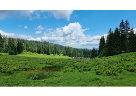 Działka na sprzedaż - к.к. Пампорово, м.Караманджа/k.k. Pamporovo, m.Karamandja Смолян/smolian, Bułgaria, 2940 m², 79 936 USD (327 739 PLN), NET-86792750