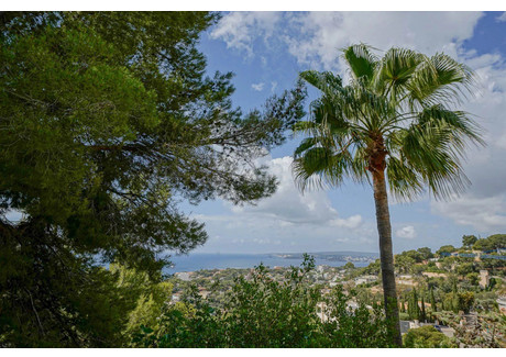 Dom na sprzedaż - Calvia, Hiszpania, 400 m², 8 454 497 USD (33 902 532 PLN), NET-101082452