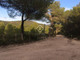 Dom na sprzedaż - Castellet I La Gornal, Hiszpania, 590 m², 2 319 789 USD (9 487 938 PLN), NET-69570430