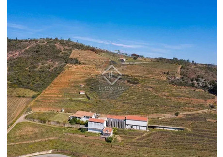 Dom na sprzedaż - Vila Flor, Portugalia, 900 m², 771 516 USD (3 109 208 PLN), NET-90088022