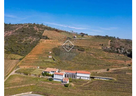 Dom na sprzedaż - Vila Flor, Portugalia, 900 m², 804 276 USD (3 080 377 PLN), NET-90088022