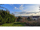 Dom na sprzedaż - Broyes, Francja, 133 m², 125 979 USD (510 213 PLN), NET-96852394